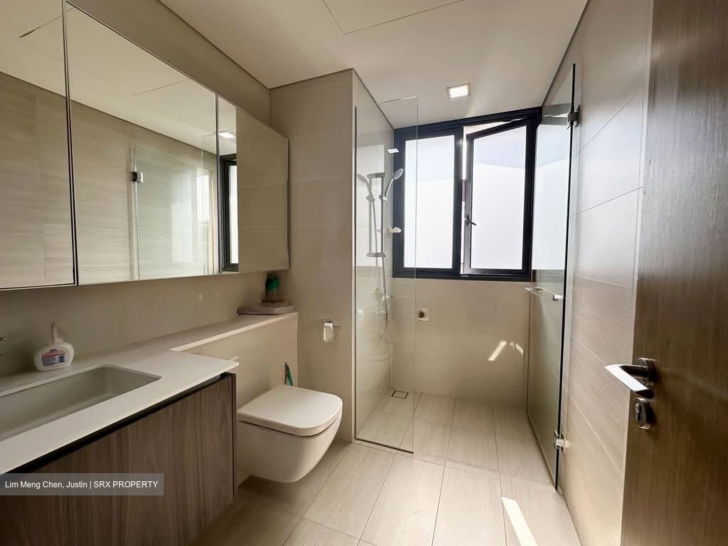 Lakeville (D22), Condominium #589629241